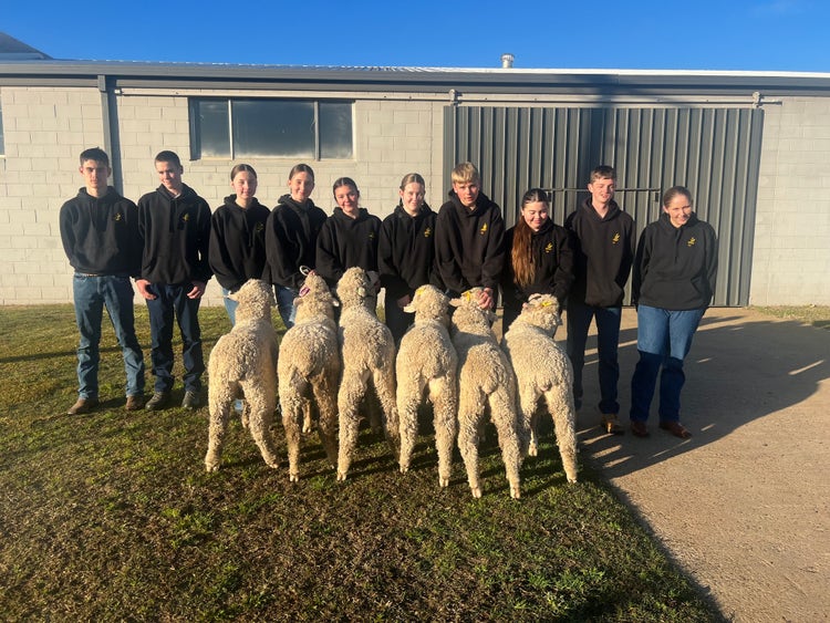 Agriculture students with sheep